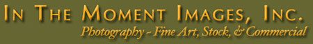 In The Moment Logo Logo (old)